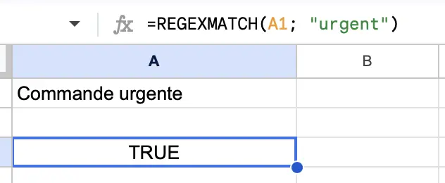 fonction REGEXMATCH Google sheets cellule contient un mot précis