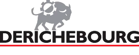Derichebourg_Logo